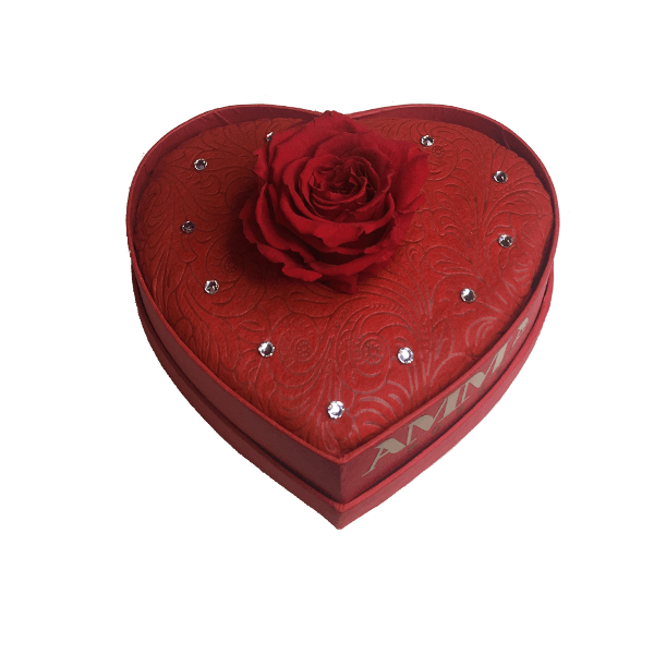 Endless™ Heart Solo with Swarovski Crystals