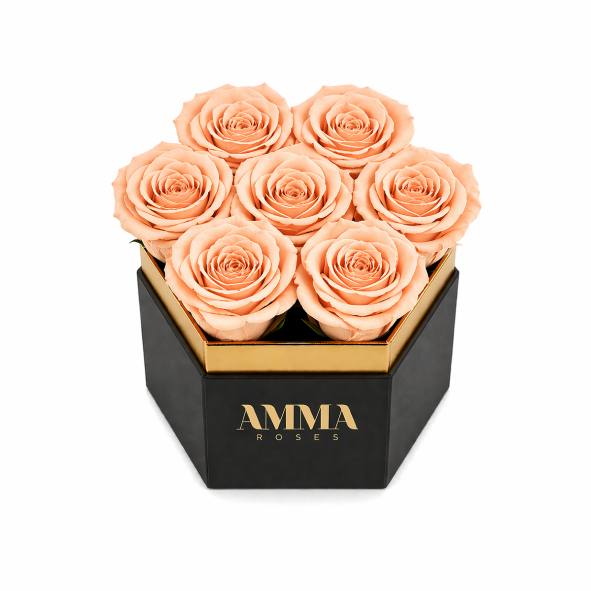 Box Collection Candy Box Peach - AMMA ROSES